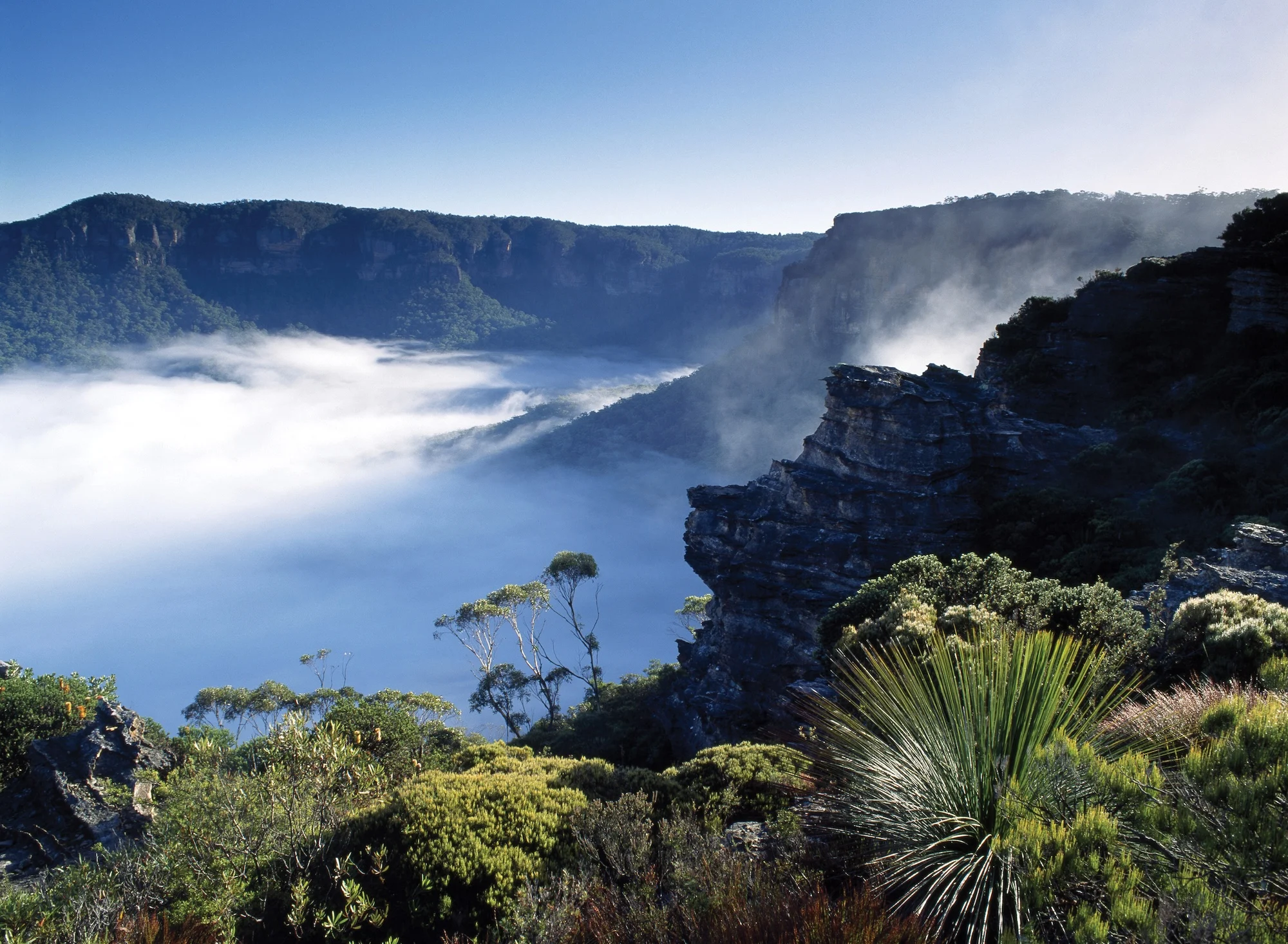 Blue Mountains